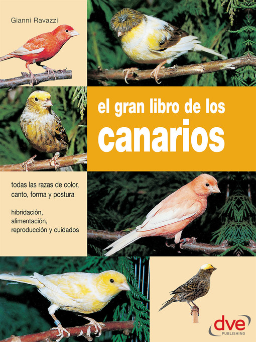 Title details for El gran libro de los canarios by Gianni Ravazzi - Available